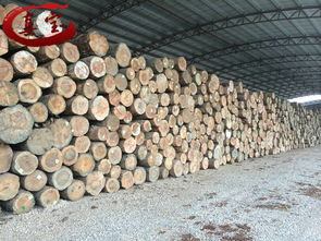 木材加工厂这六种订单不接