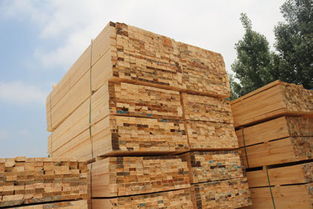 铁杉建筑方木规格 武林木材 在线咨询 铁杉建筑方木