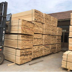 建筑木材多少钱一立方 临沂建筑木材生产厂家 国鲁工贸